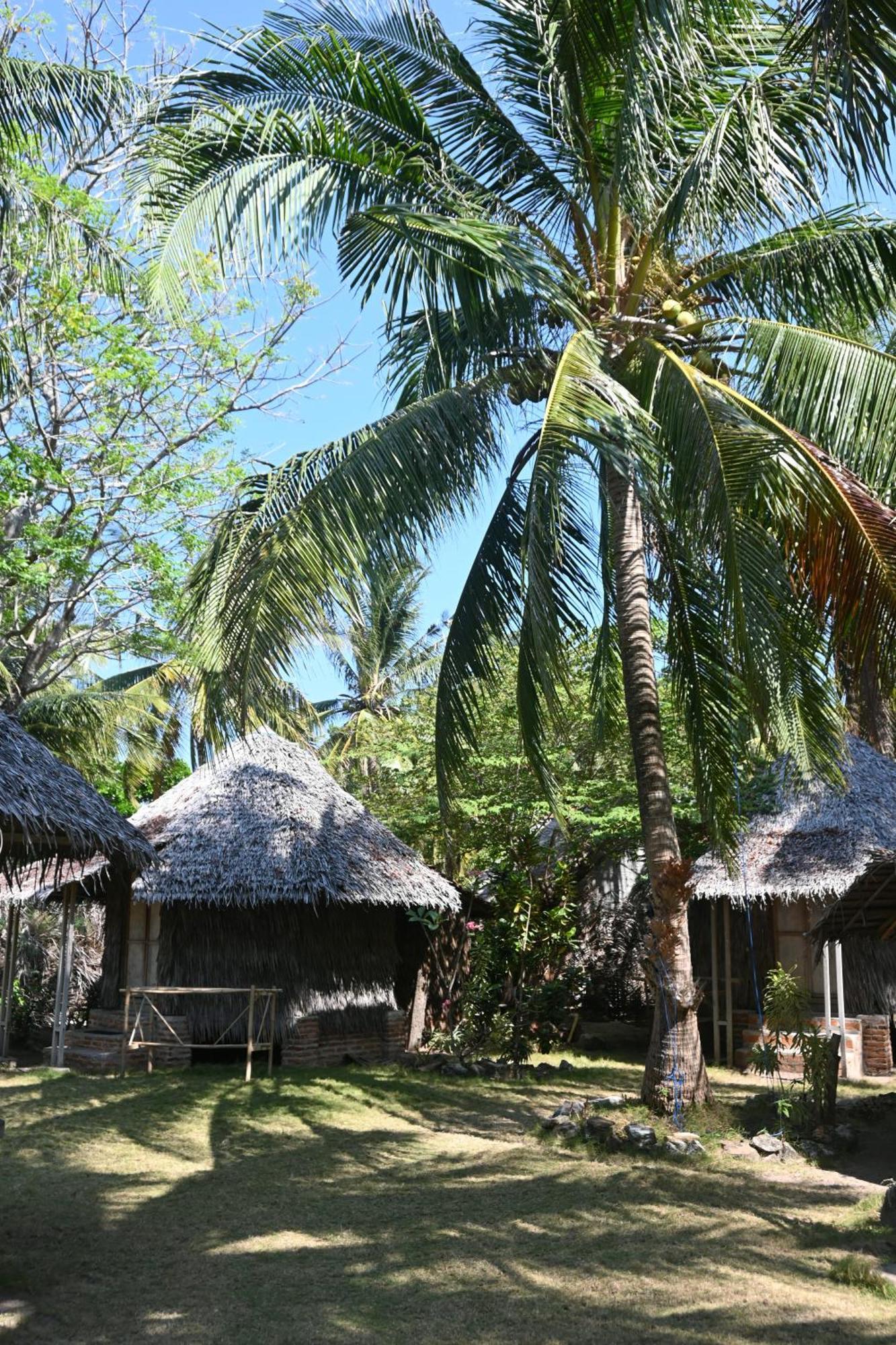Bunga Jabe Vila Ilhas Karimunjava Exterior foto